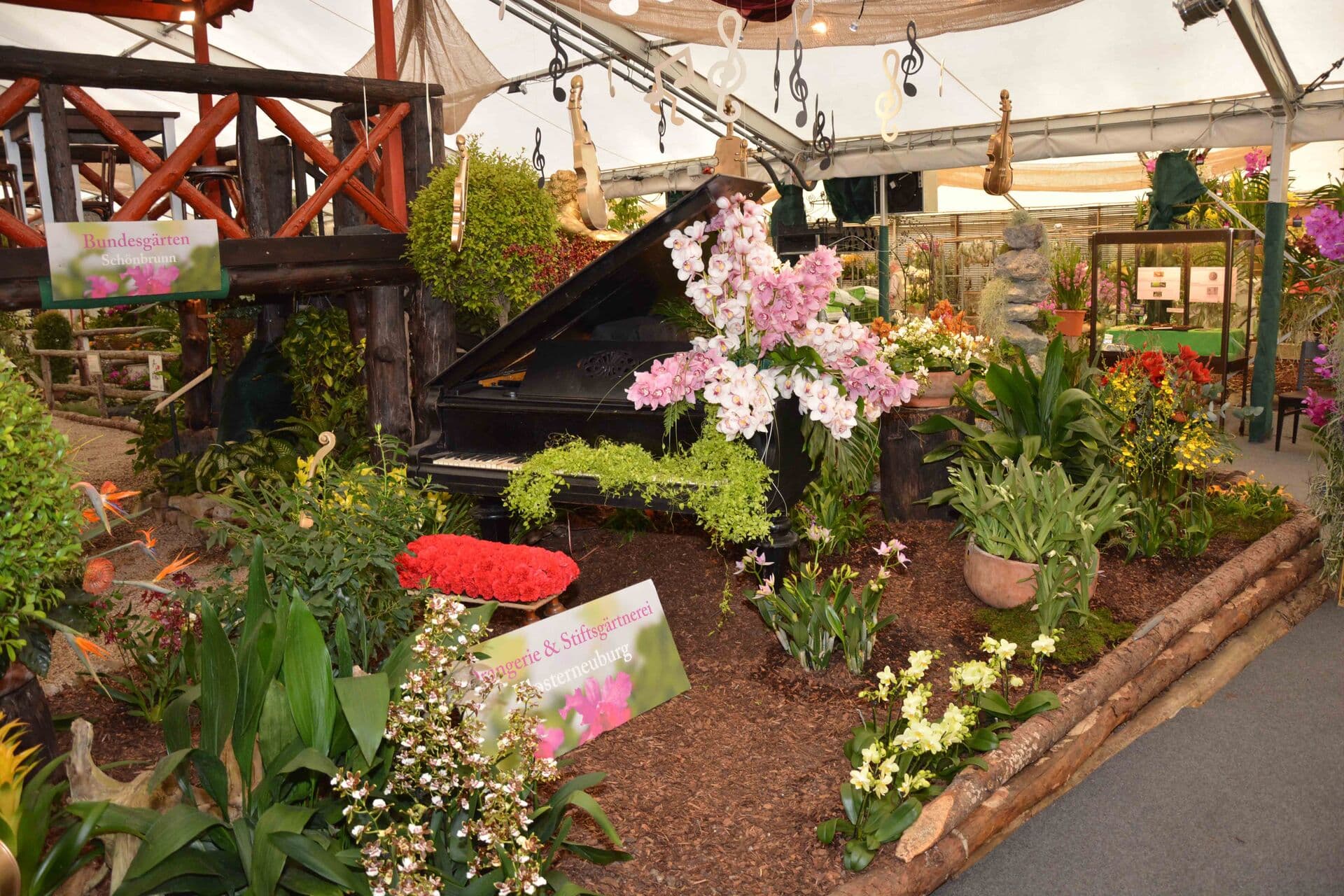 Výstava orchideí v kláštore Klosterneuburg - Rakúsko, Rakúsko - foto 4