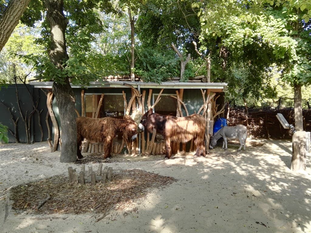 Schönbrunn Zoo a Zámok - Rakúsko, Rakúsko - foto 4