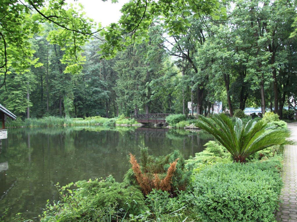 Čičmany, Rajecká Lesná, Rajecké Teplice - Slovensko, Slovensko - foto 5