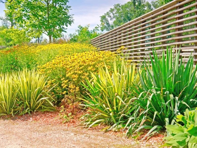 Výstava kvetín Tulln - Rakúsko, Rakúsko - foto 5