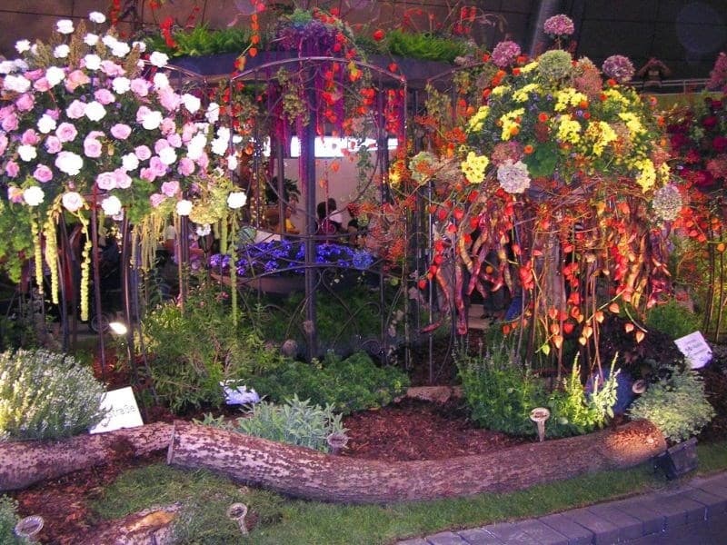 Výstava kvetín Tulln - Rakúsko, Rakúsko