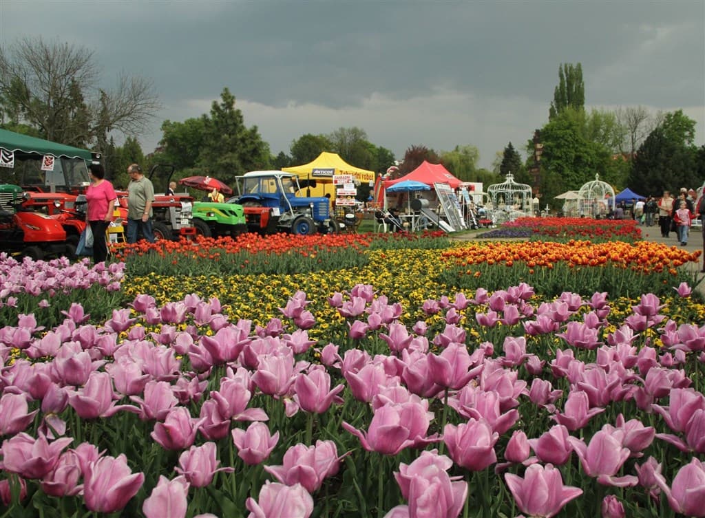 Flora Olomouc - Česká republika, Česká republika - foto 2