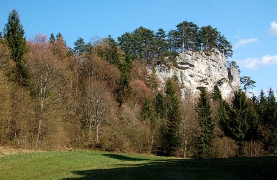 Prírodný park Myrafälle - Rakúsko, Rakúsko - foto 4