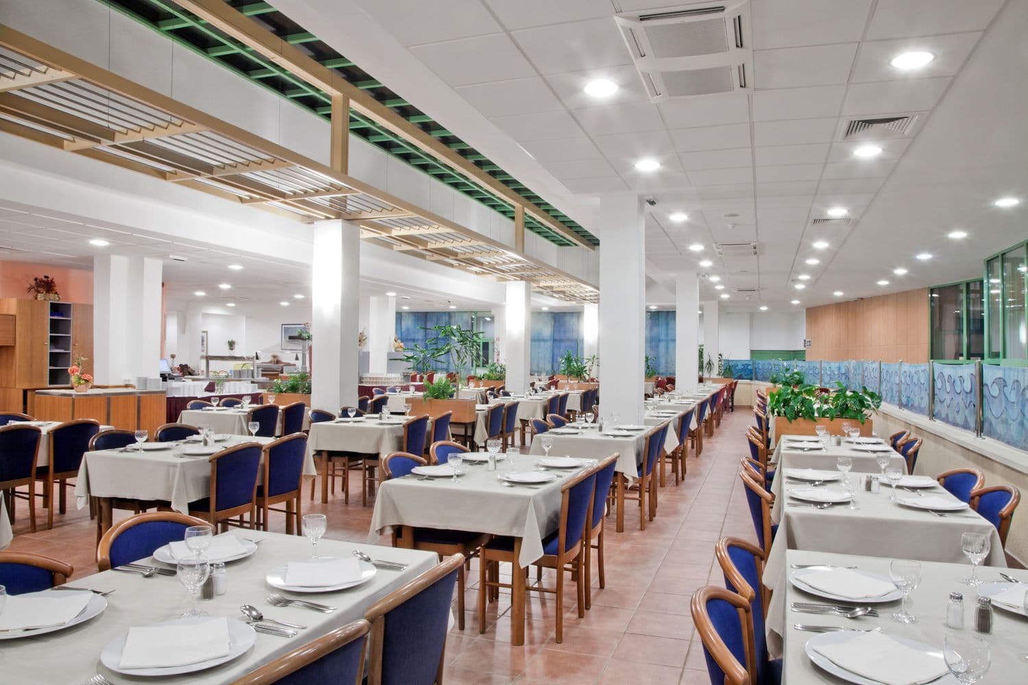 Bluesun hotel Marina - Brela, Chorvátsko - foto 15