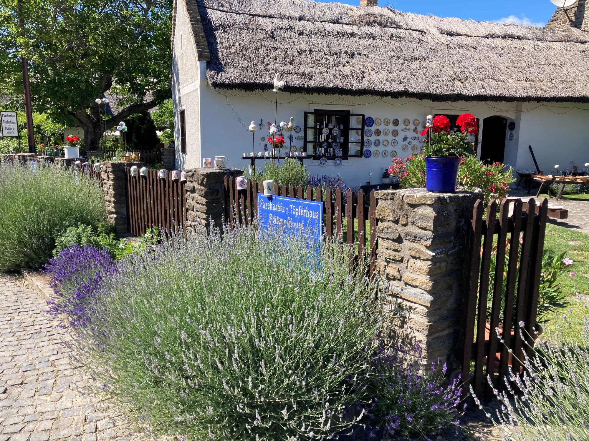 Levanduľové dni - Maďarsko, Maďarsko - foto 2