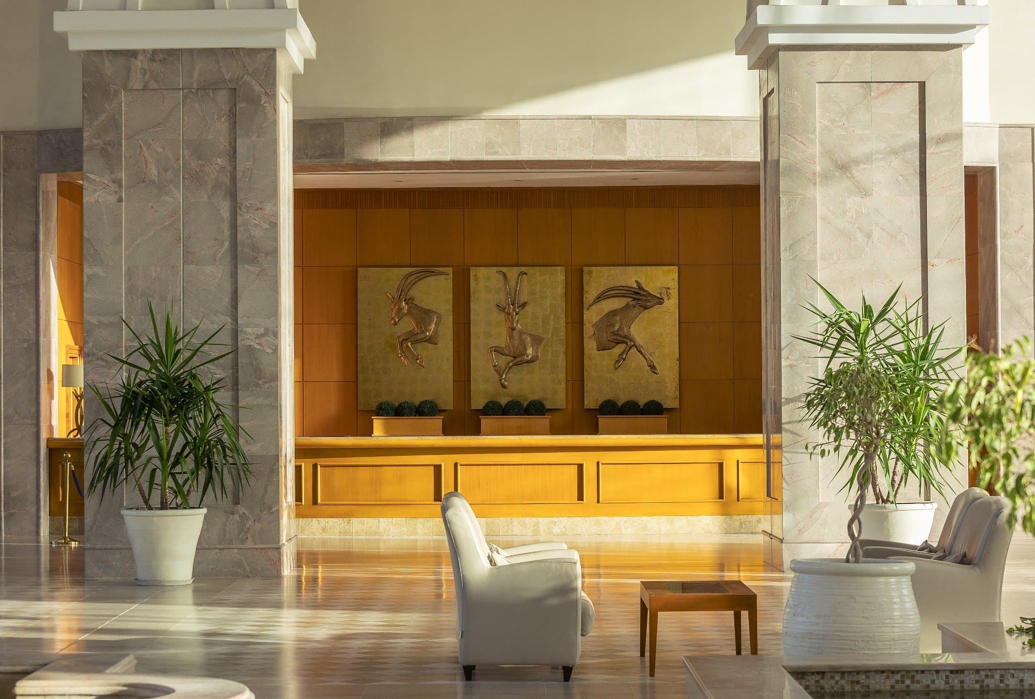 Hotel Movenpick Resort and Marine SPA - Sousse, Sousse - foto 4