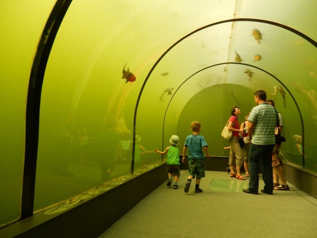 Macocha a Baťov kanál - Česká republika, Česká republika - foto 3