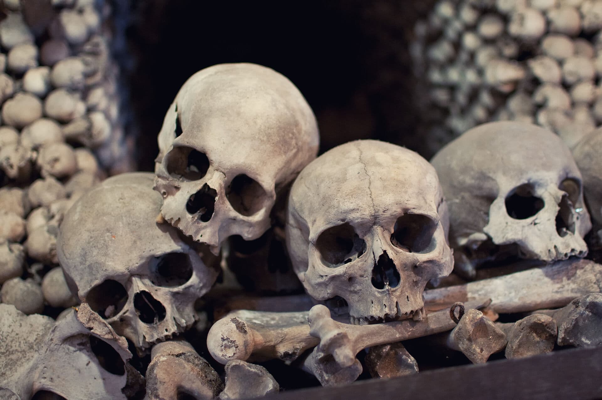 Pýchy severných Čiech - Česká republika, Česká republika - foto 5