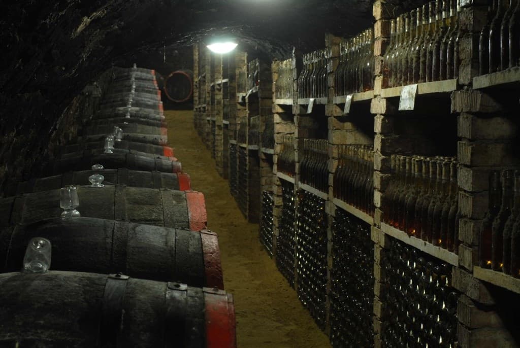 Tokaj a okolie - Maďarsko, Maďarsko - foto 4