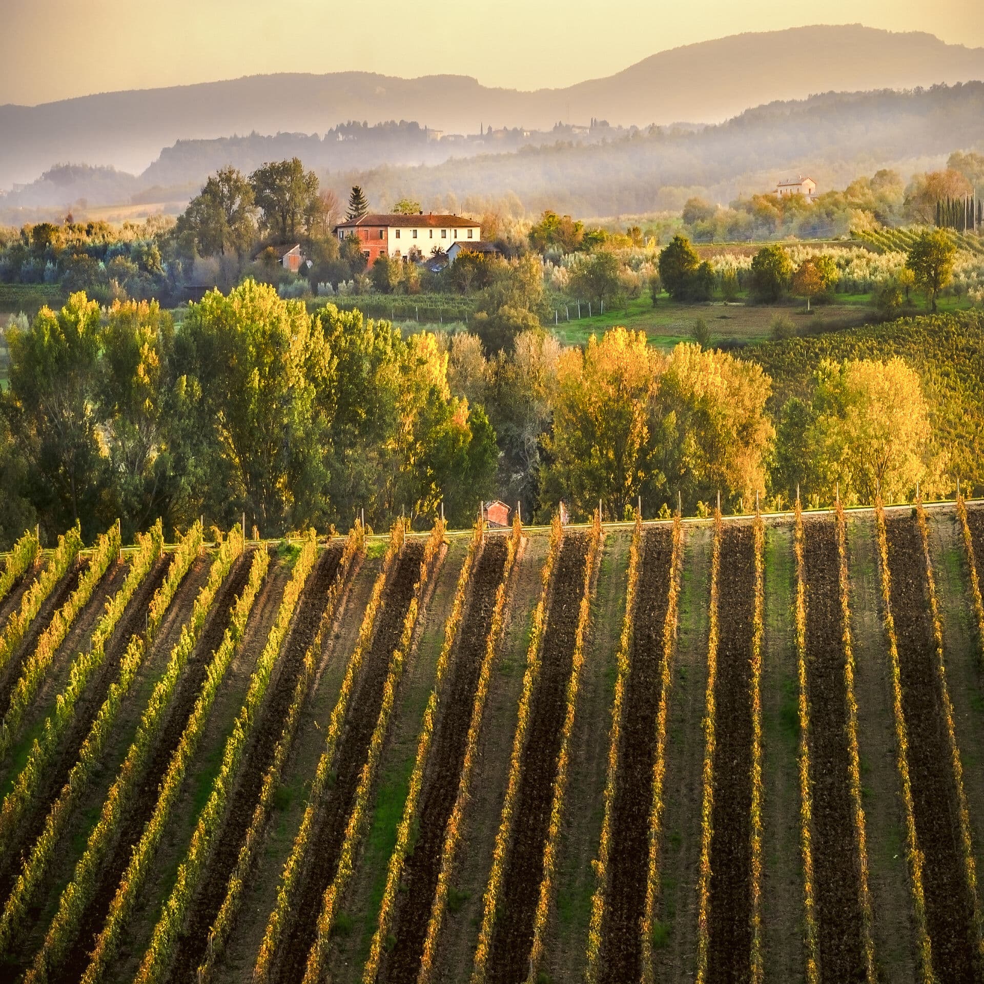 Farby toskánskeho vína - Toskánsko, Taliansko