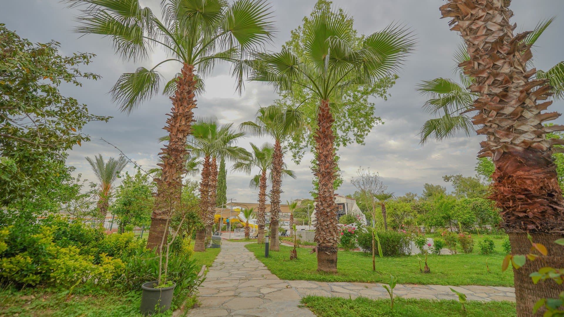 Bieno Venus Hotel & Spa - Turecká riviéra, Turecko - foto 4