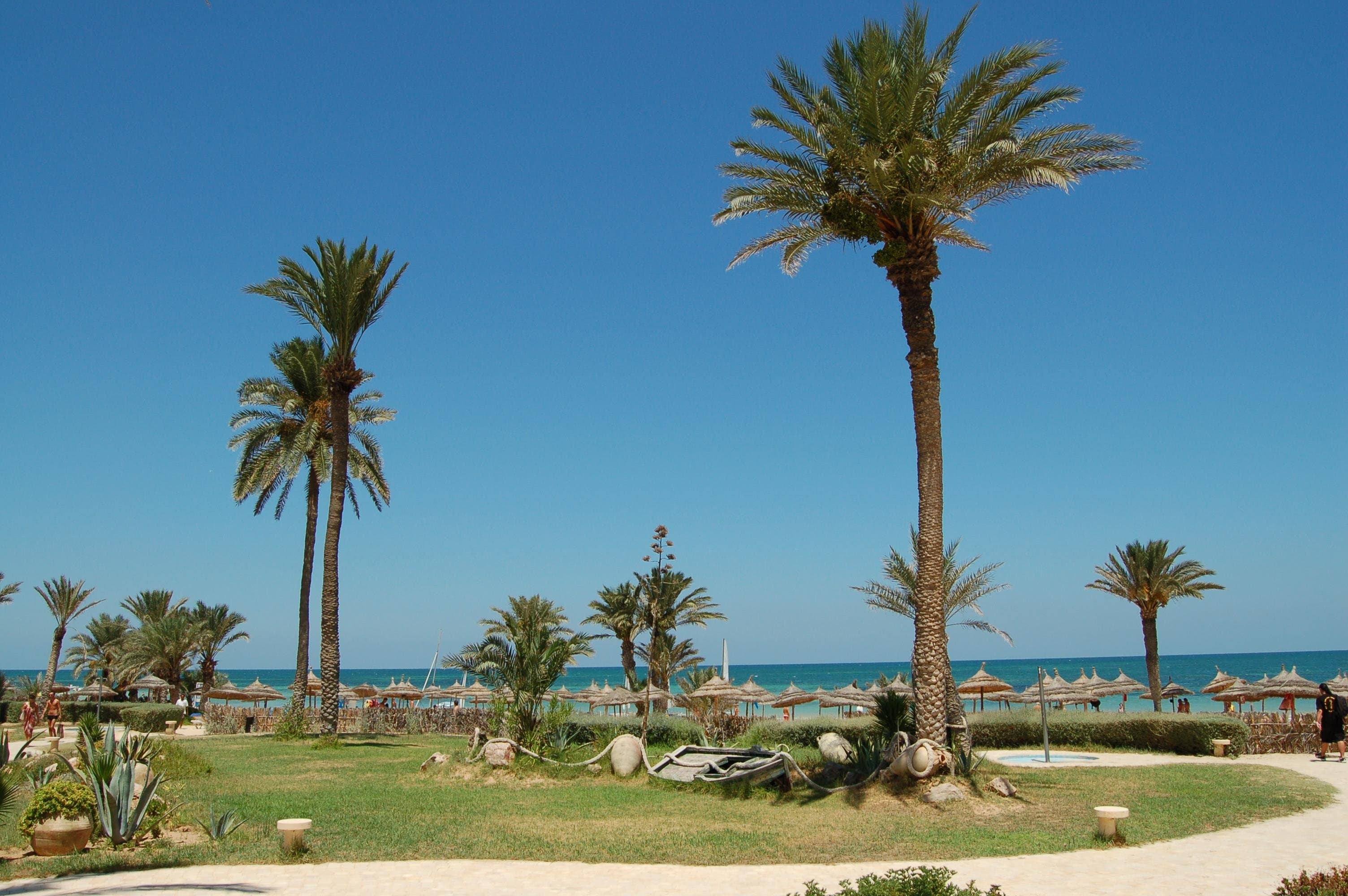 Eden Star - Djerba, Tunisko - foto 5