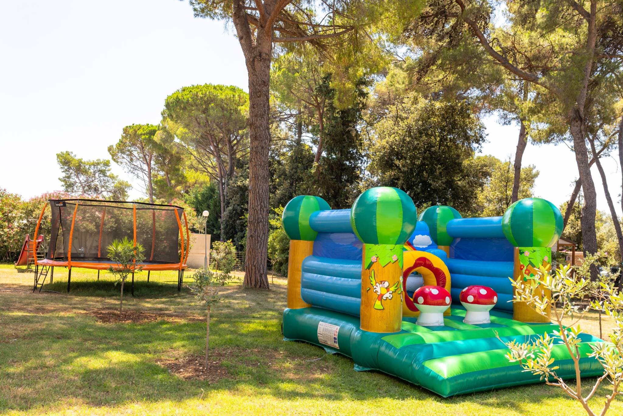 Hotel Adria - Biograd na Moru, Chorvátsko - foto 17