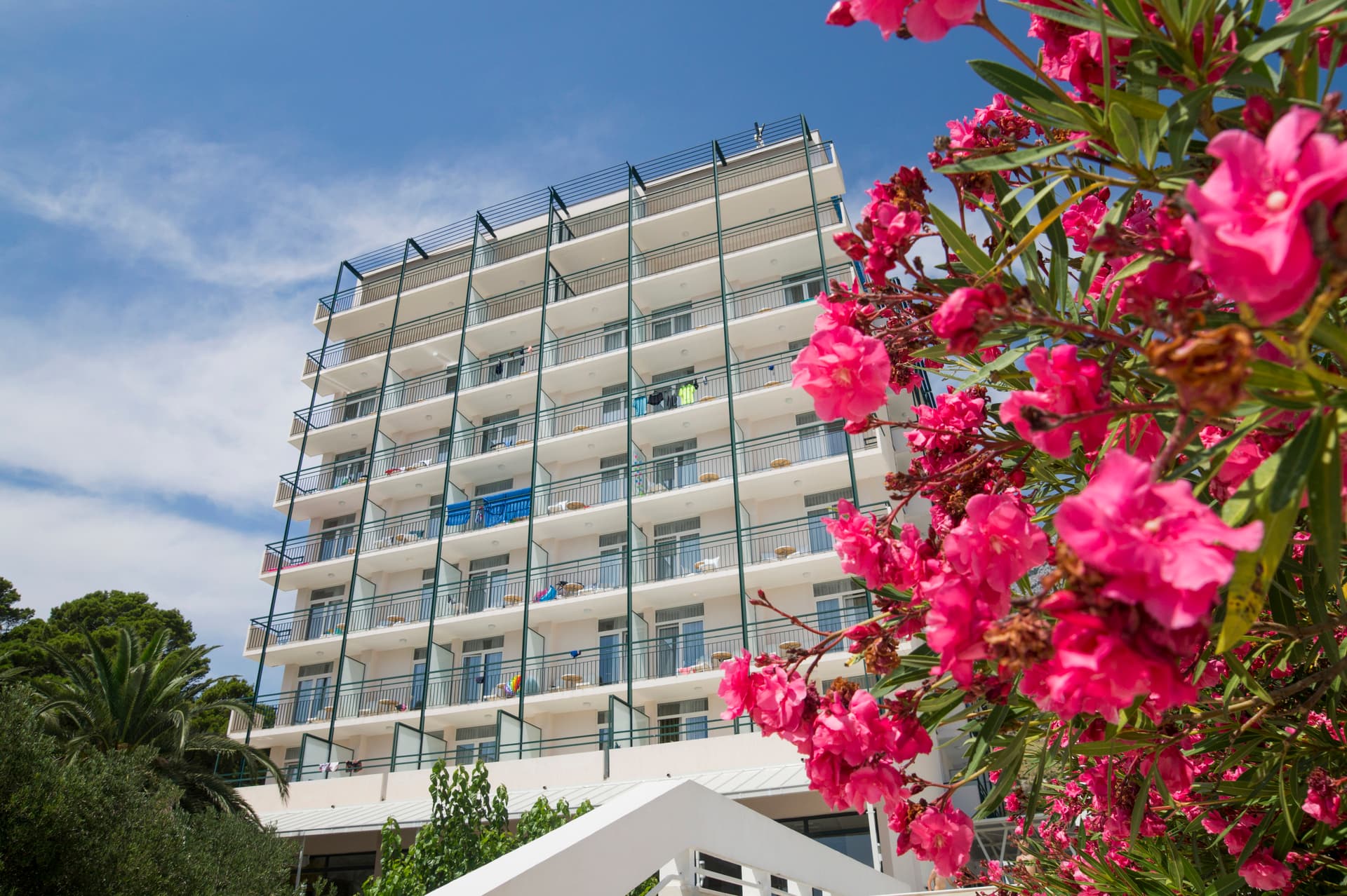 Hotel Bluesun hotel Neptun - Tučepi, Chorvátsko - foto 5