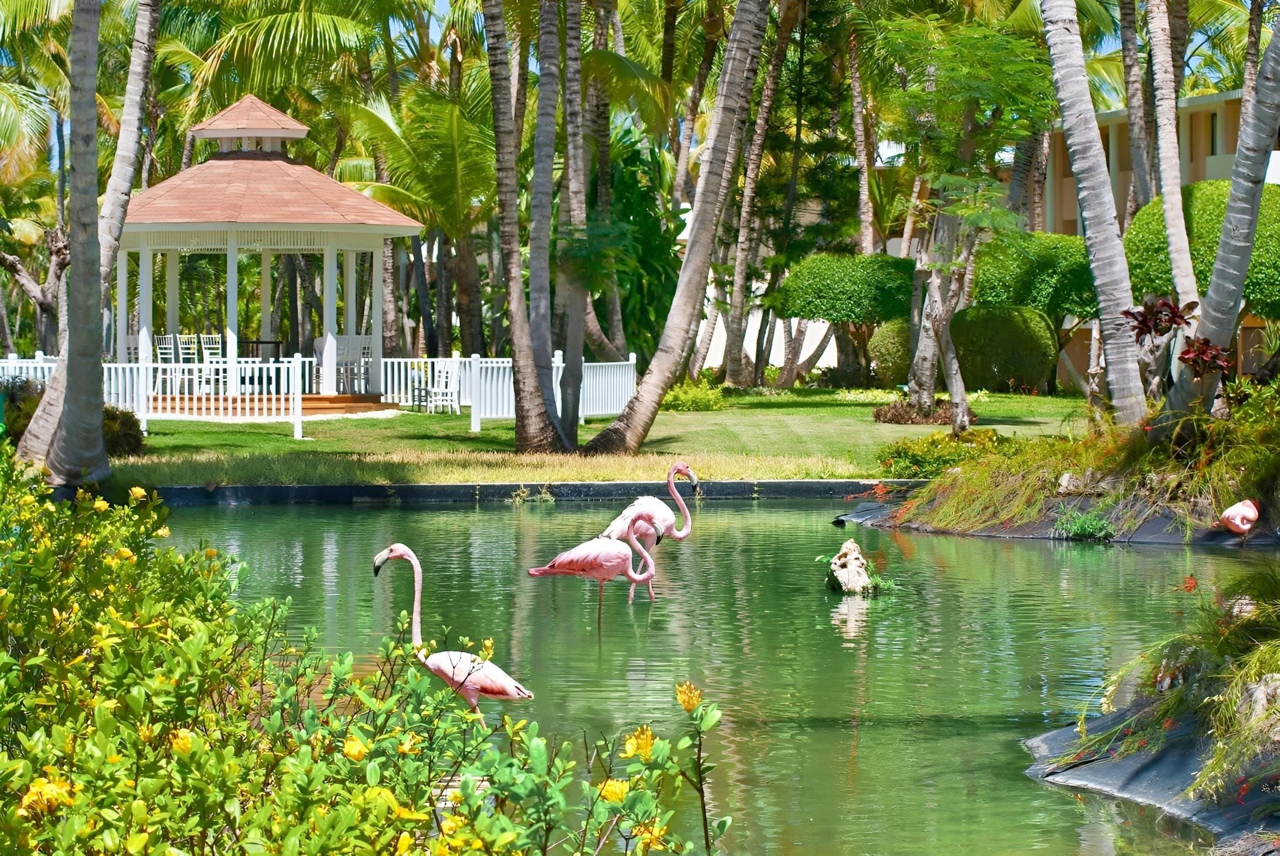 Catalonia Bavaro Beach & Golf Resort - Informácie o hoteli