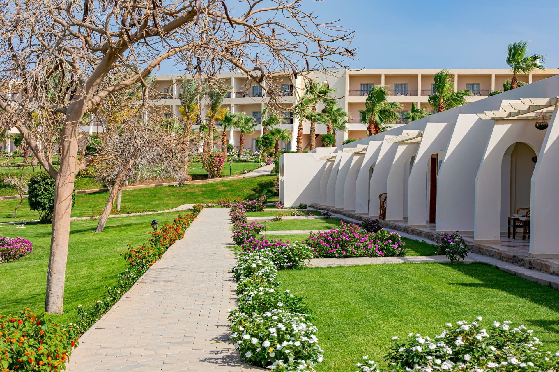 ROYAL BRAYKA BEACH RESORT - Marsa Alam, Egypt - foto 21