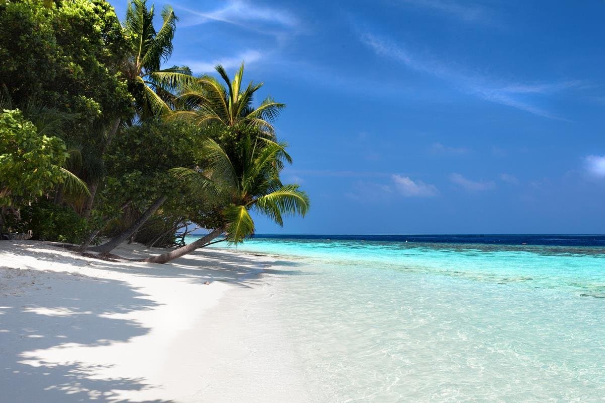 Vilamendhoo Island Resort & Spa - Maldivy, Maldivy - foto 6