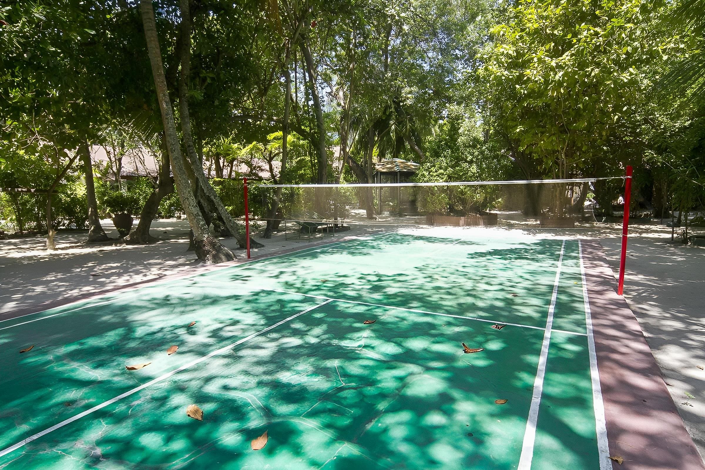 Embudu Village - Maldivy, Maldivy - foto 14