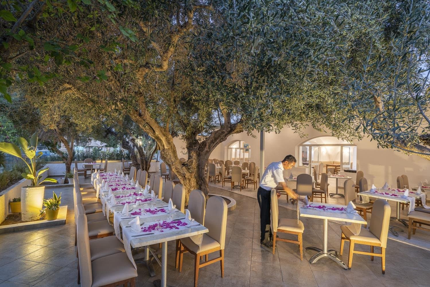 Le Hammamet - Tunisko - pevnina, Tunisko - foto 15