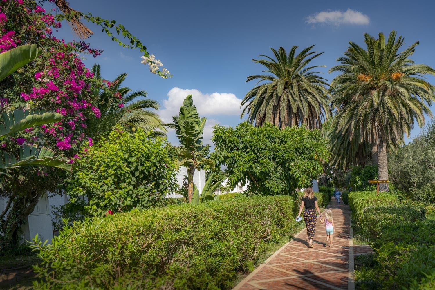 Le Hammamet - Tunisko - pevnina, Tunisko - foto 8