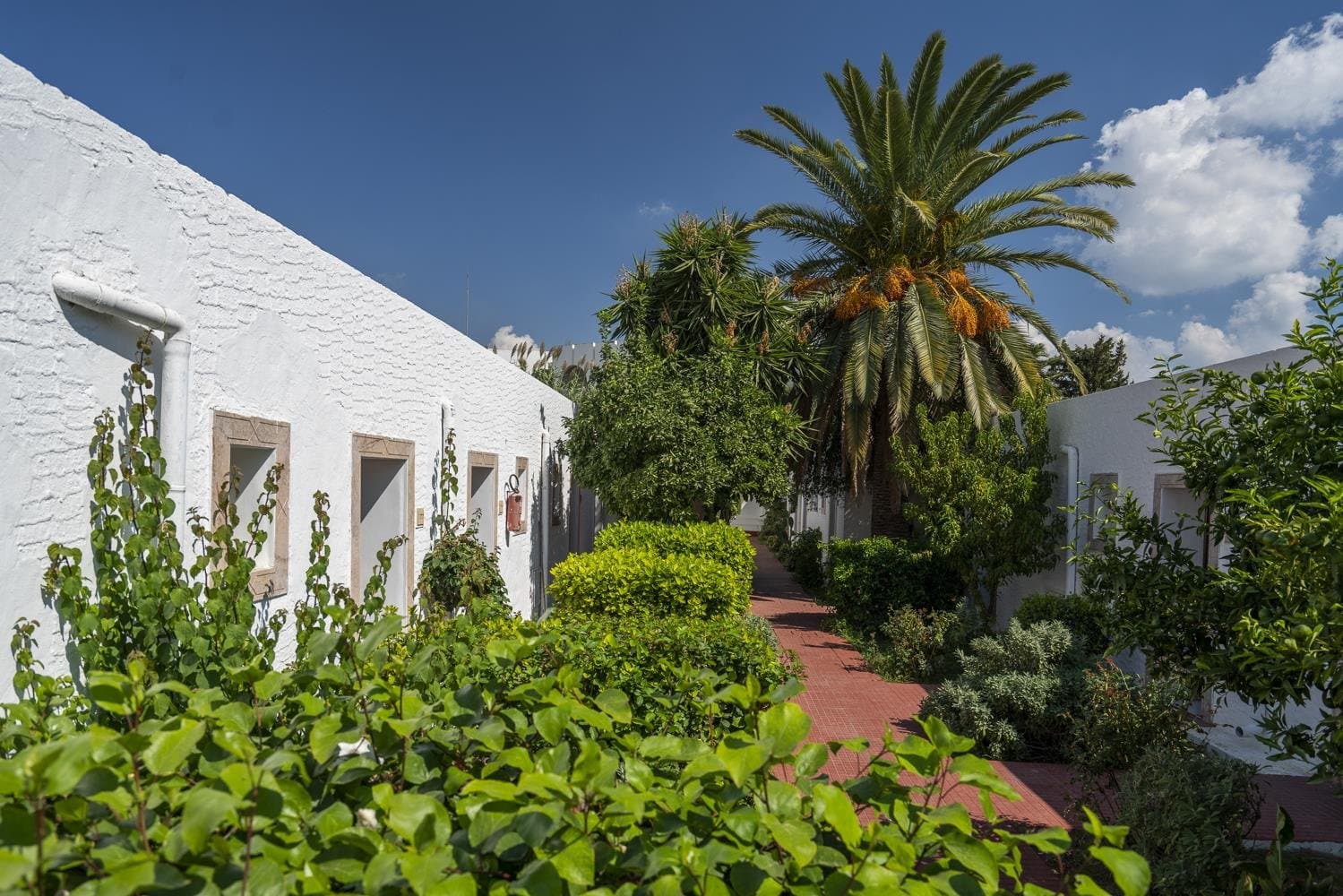Le Hammamet - Tunisko - pevnina, Tunisko - foto 7