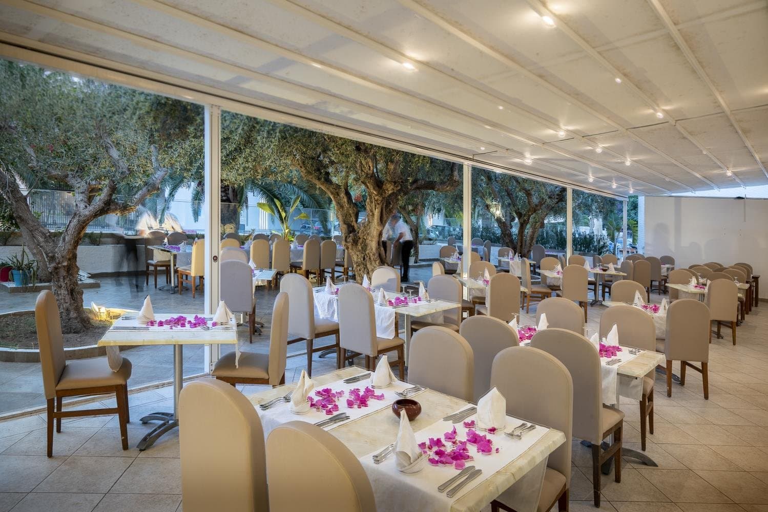 Le Hammamet - Tunisko - pevnina, Tunisko - foto 16