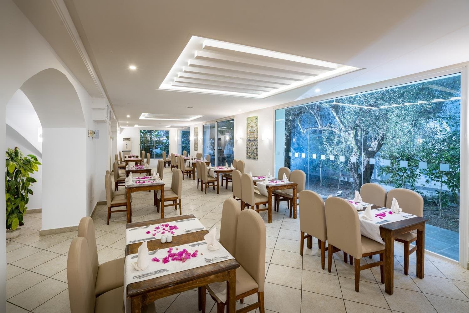 Le Hammamet - Tunisko - pevnina, Tunisko - foto 14
