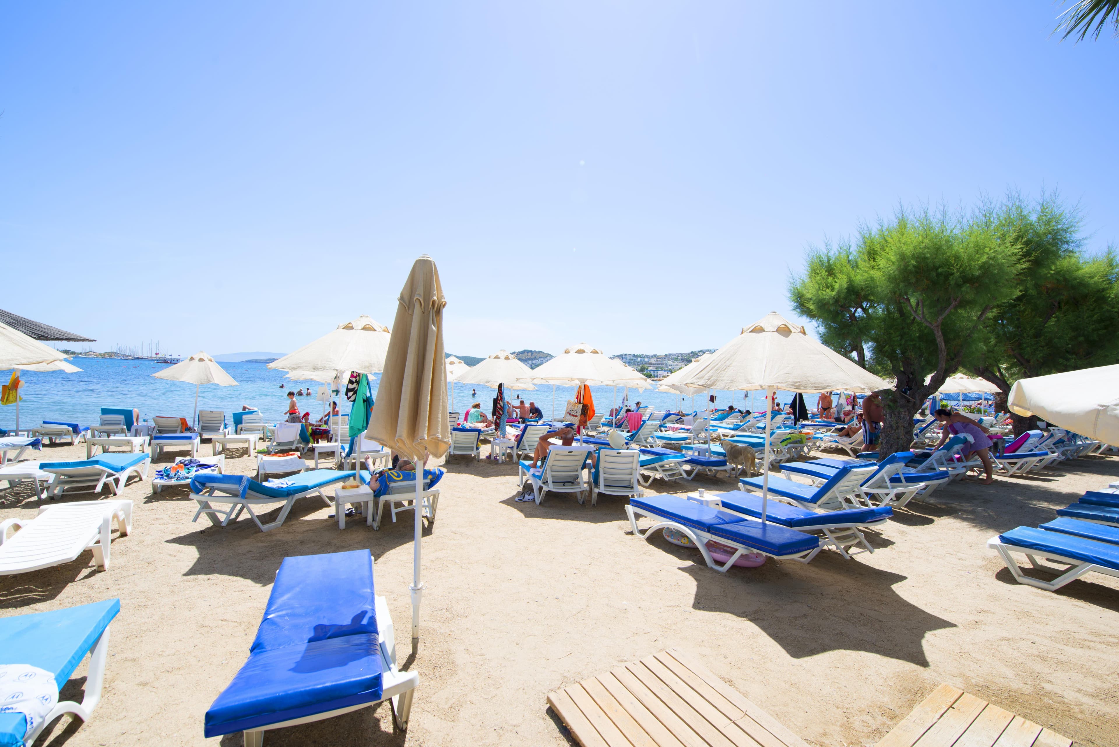 Sami Beach - Egejská riviéra - Bodrum, Turecko - foto 5