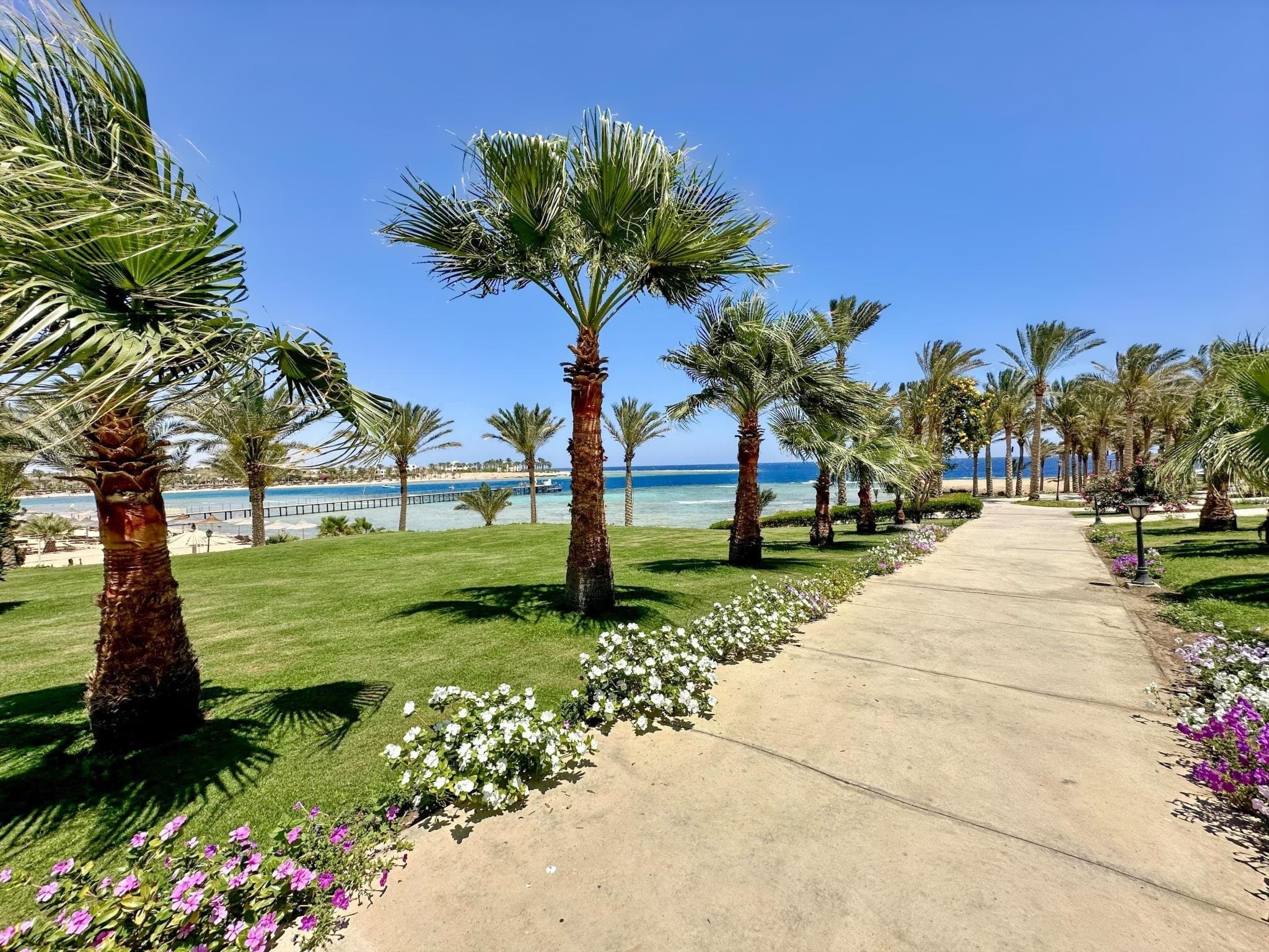 ROYAL BRAYKA BEACH RESORT - Marsa Alam, Egypt - foto 22