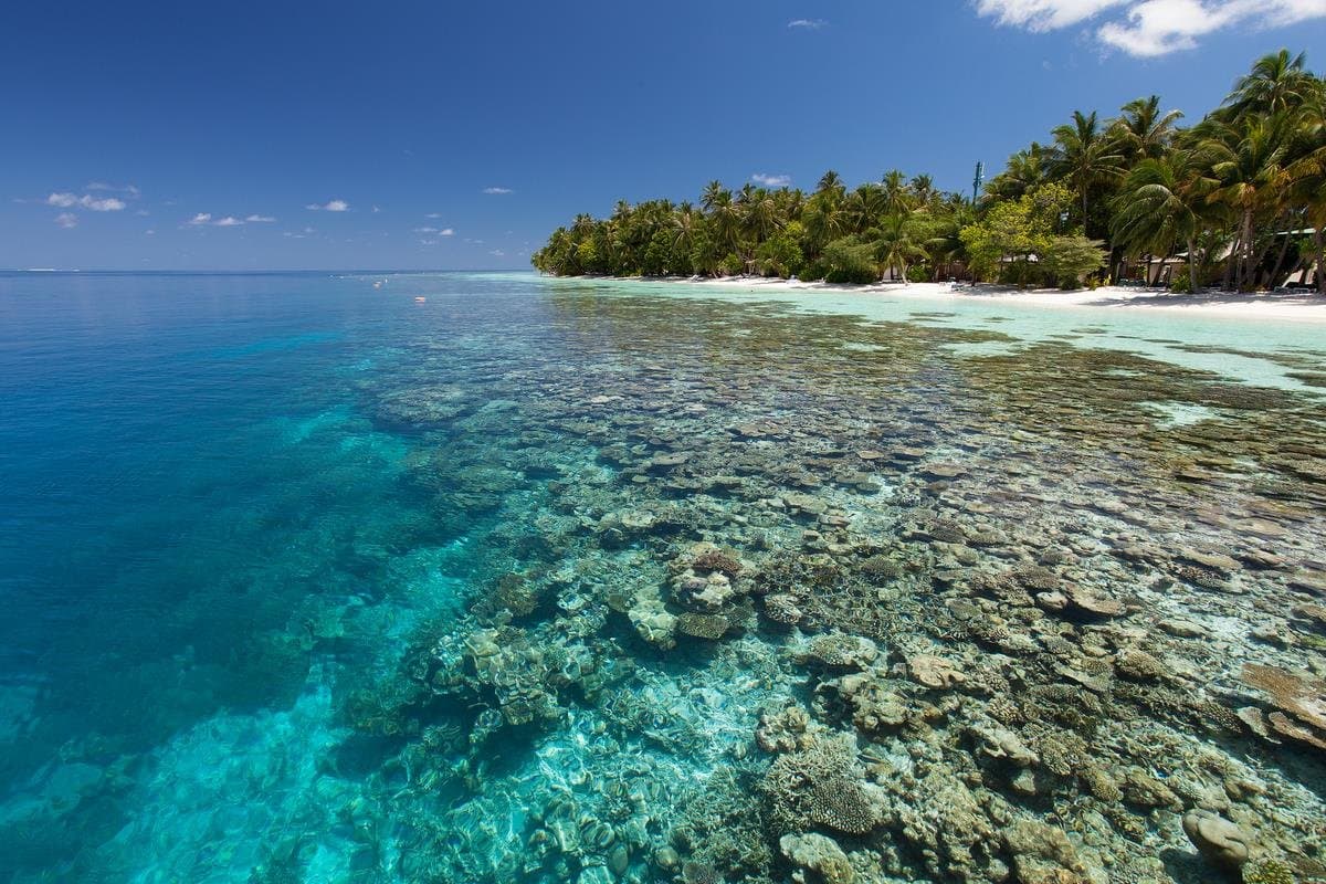 Vilamendhoo Island Resort & Spa - Maldivy, Maldivy - foto 8