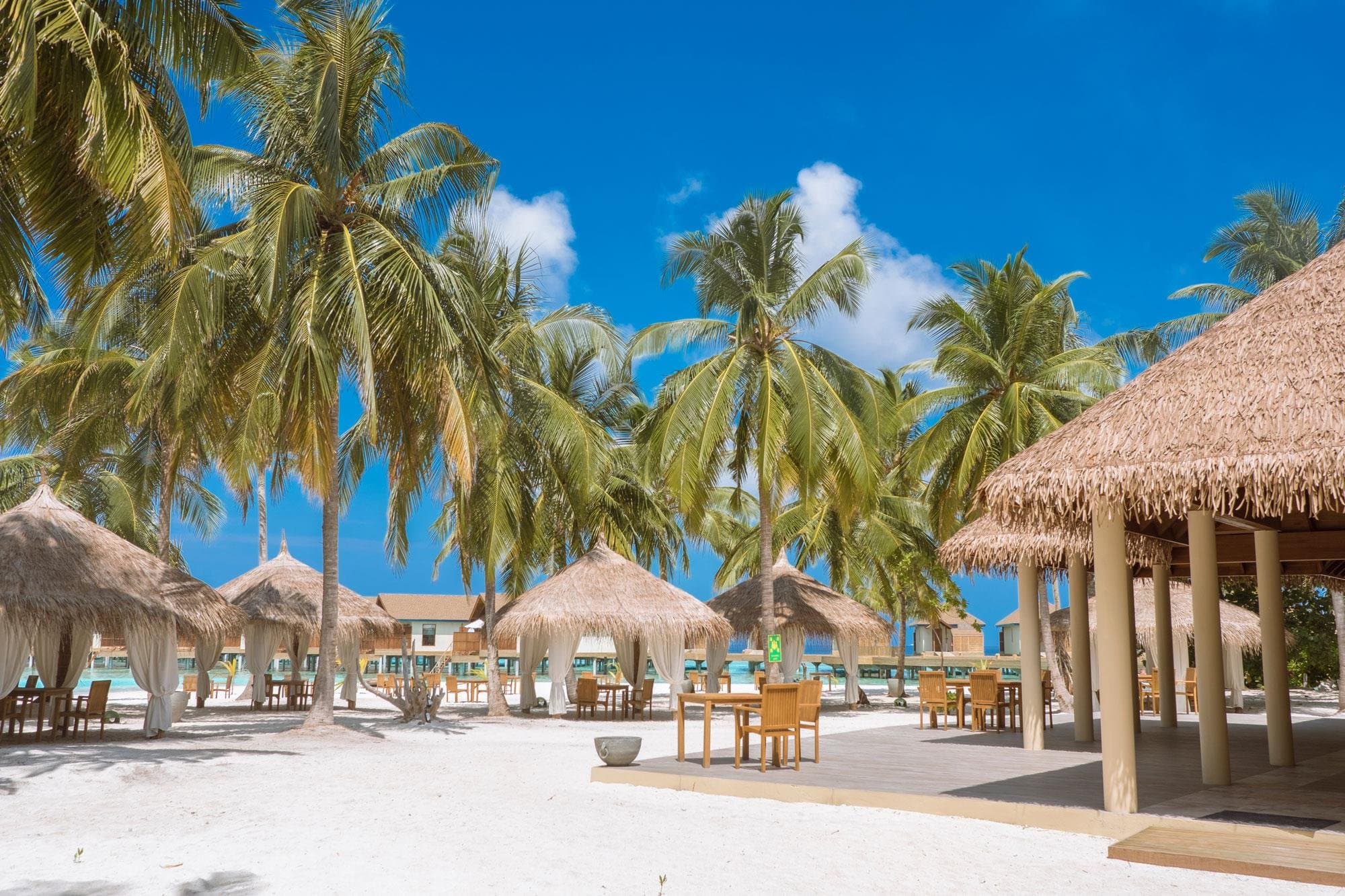 Reethi Faru Resort - Maldivy, Maldivy - foto 23