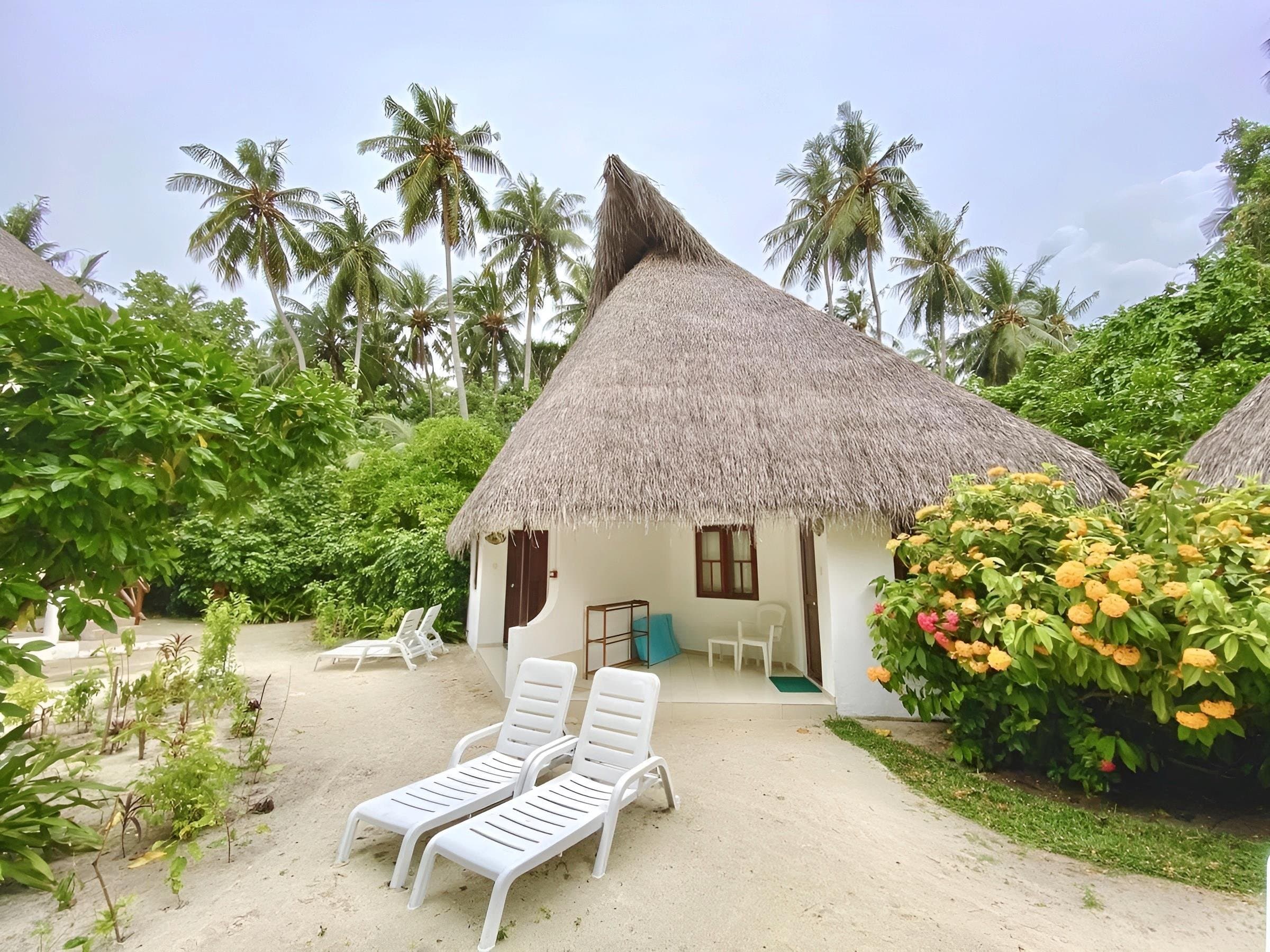 Fihalhohi Island Rezort - Maldivy, Maldivy - foto 7