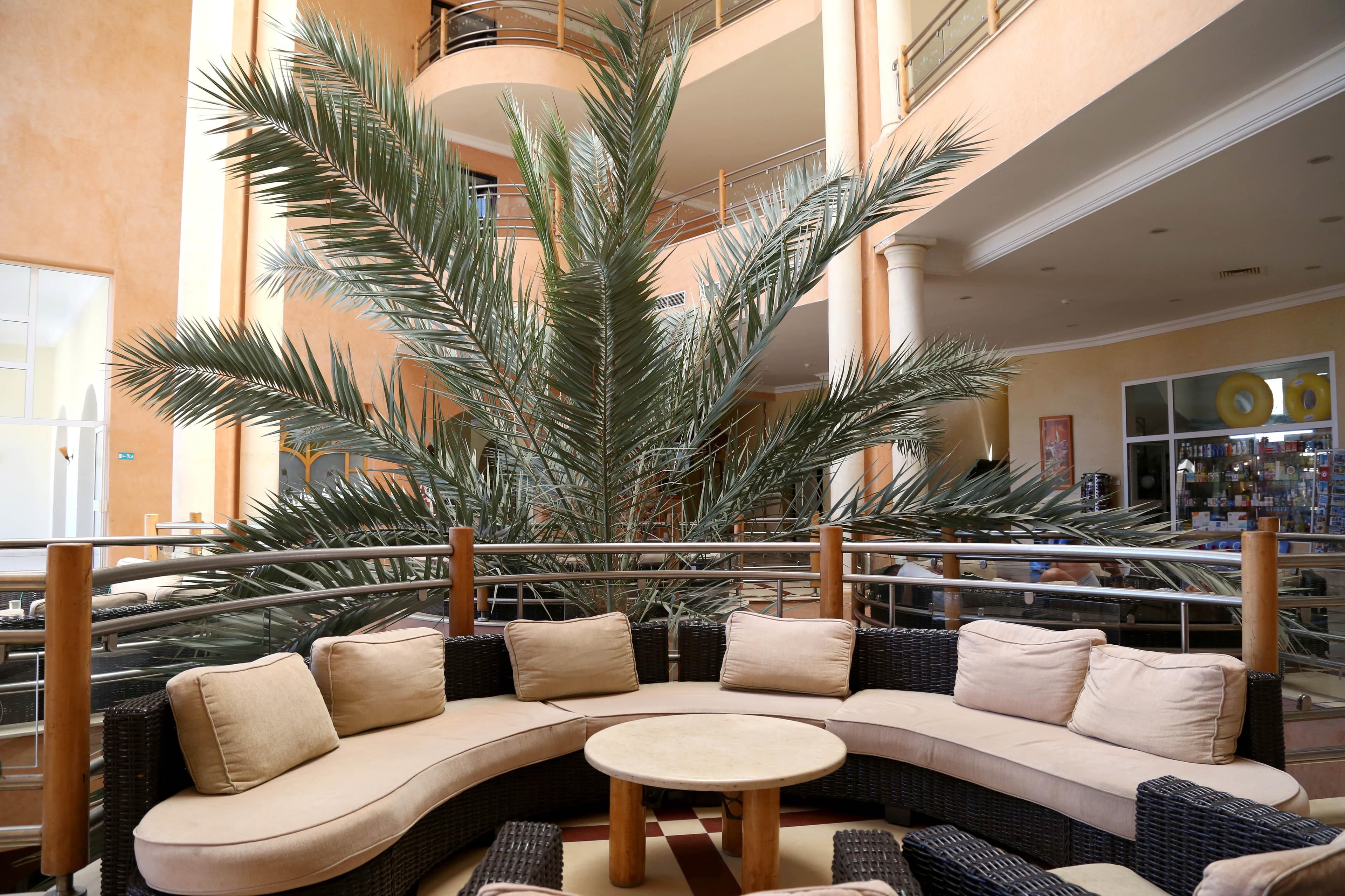 Eden Star - Djerba, Tunisko - foto 8
